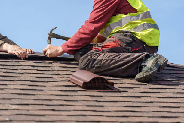 Best Roof Maintenance Services  in Mcewen, TN