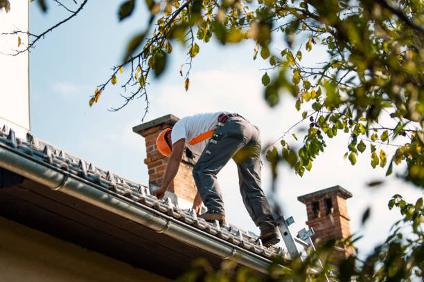 Best Roof Repair Estimates  in Mcewen, TN