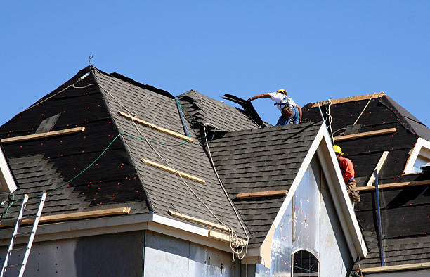 Best Roof Gutter Cleaning  in Mcewen, TN