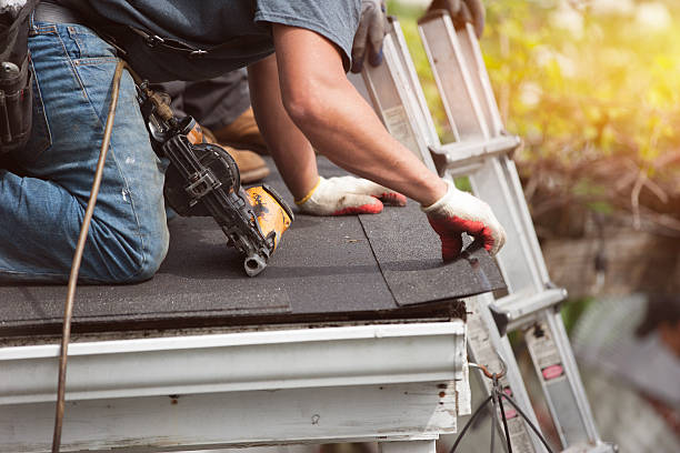 Best Roof Gutter Cleaning  in Mcewen, TN