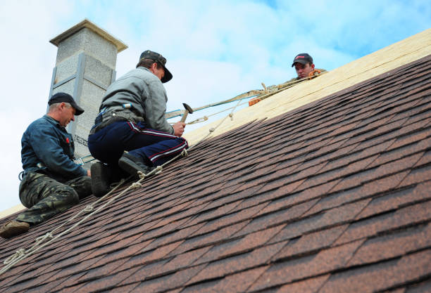 Best New Roof Installation  in Mcewen, TN